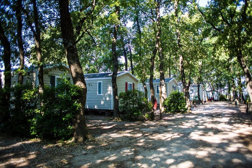 Camping Le Bois Des Ecureuils Hotel Domazan Bilik gambar